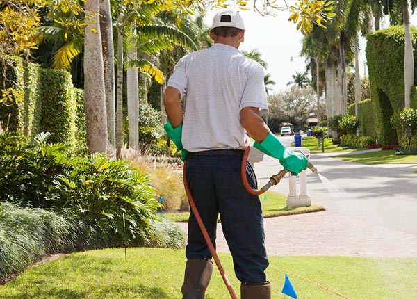 About Mill Run PA Pest Control Pros